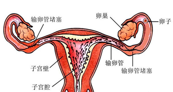 马鞍山人流多少钱